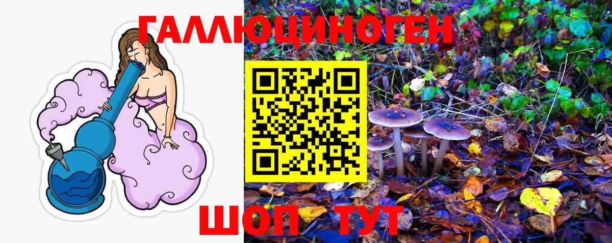 Псилоцибиновые грибы Psilocybe Тихорецк