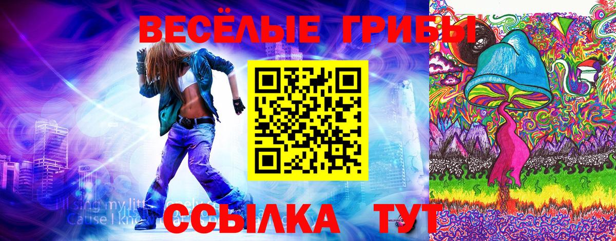 Тихорецк  Псилоцибиновые грибы GOLDEN TEACHER  Псилоцибиновые грибы ЛСД  Вход с VPN 